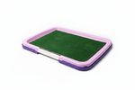 Pet Potty Tray - Front Angle
