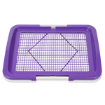 Pet Training Tray - Purple