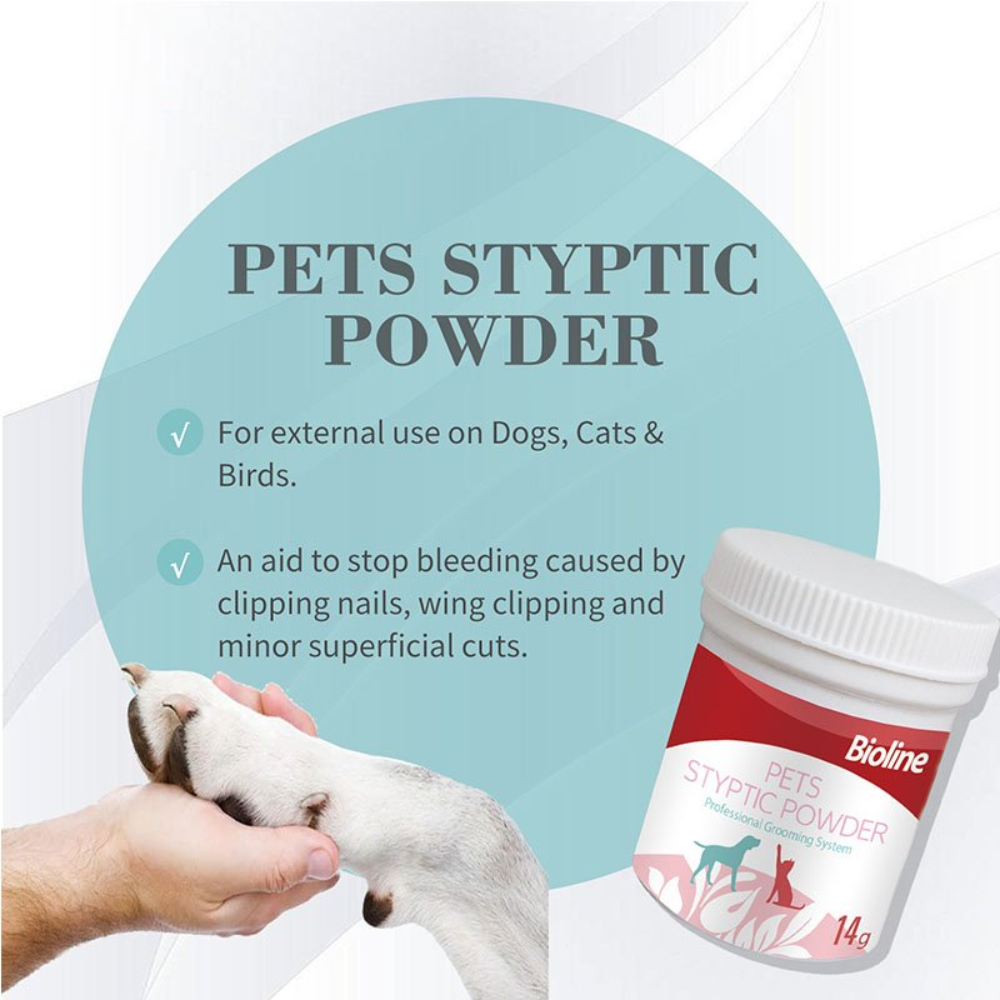 Bioline Pets Styptic Powder 14g Petfast.shop Bioline Cat Dog petfast.shop Egypt PBI6893S Default Title 420.00