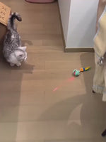 Running Ball with Laser & Sound Cat Toy