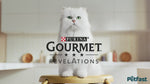 Gourmet Revelations Mousse With Salmon And A cascading Gravy 4x57g