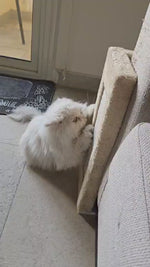 Scratch Furniture Protector for Cat