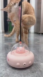 Cat Teaser Toy with Laser