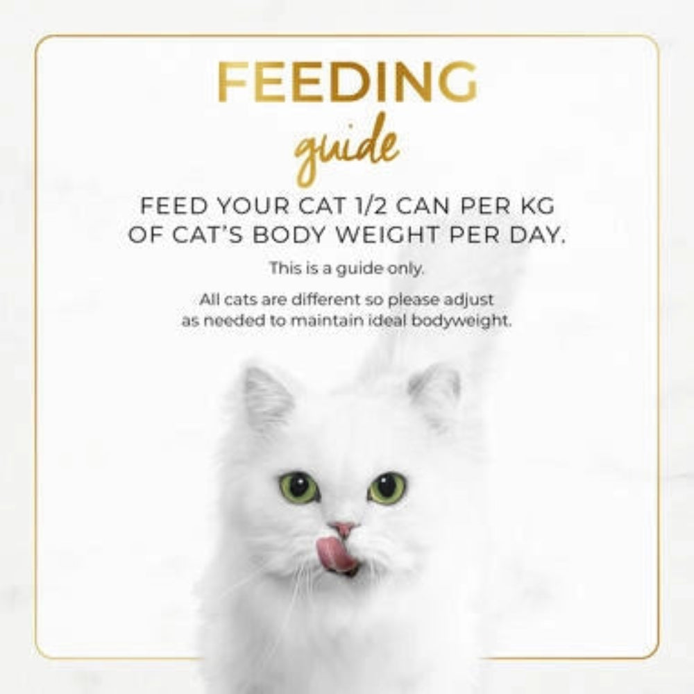 BUY 9 + 1 FERR Fancy Feast Classic Pate Savoury Salmon Feast Gourmet Cat Food 85g