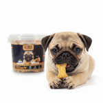 Pug puppy eating Rich Excellence chicken biscuit treat