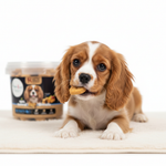 Puppy eating Rich Excellence dog biscuit treat