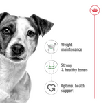 Royal Canin Adult Mini Dog Morsels in Gravy 85g