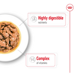 Royal Canin Adult Mini Dog Morsels in Gravy 85g