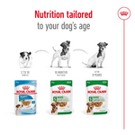 Royal Canin Adult Mini Dog Morsels in Gravy 85g