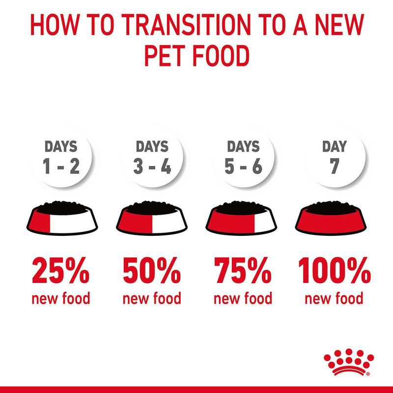 Royal Canin Digestive Sensitive Cat Chunks in Gravy 85 g