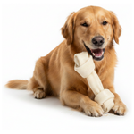 Scooby Chew Knotted Bone Petfast.shop Scooby Chewy Treat Dog Treats petfast.shop EgyptSmall (25 cm) 150.00
