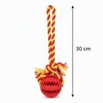 Dog Toys Tooth Cleaning Ball for Small Dog Training Petfast.shop Generic Dog Supplies Toys petfast.shop EgyptRed 220.00