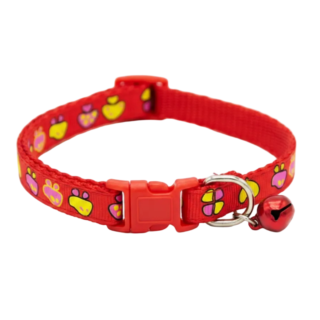 Red Paw Collar - White BG
