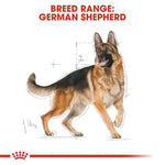 Royal Canin German Shepherd 3Kg Adult Dog Food.