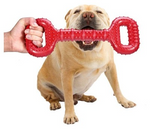 Dog playing with a red bone-shaped chew toy