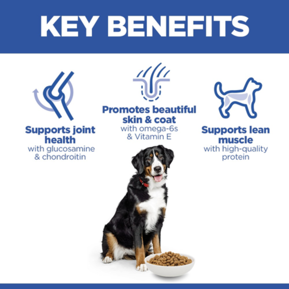 Hill's Science Plan Large Breed Adult Dog Food with Chicken Petfast.shop Hill's Dog Dry Food Food petfast.shop Egypt2.5K 1460.00