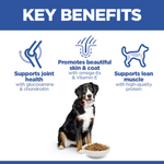 Hill's Science Plan Large Breed Adult Dog Food with Chicken Petfast.shop Hill's Dog Dry Food Food petfast.shop Egypt2.5K 1460.00