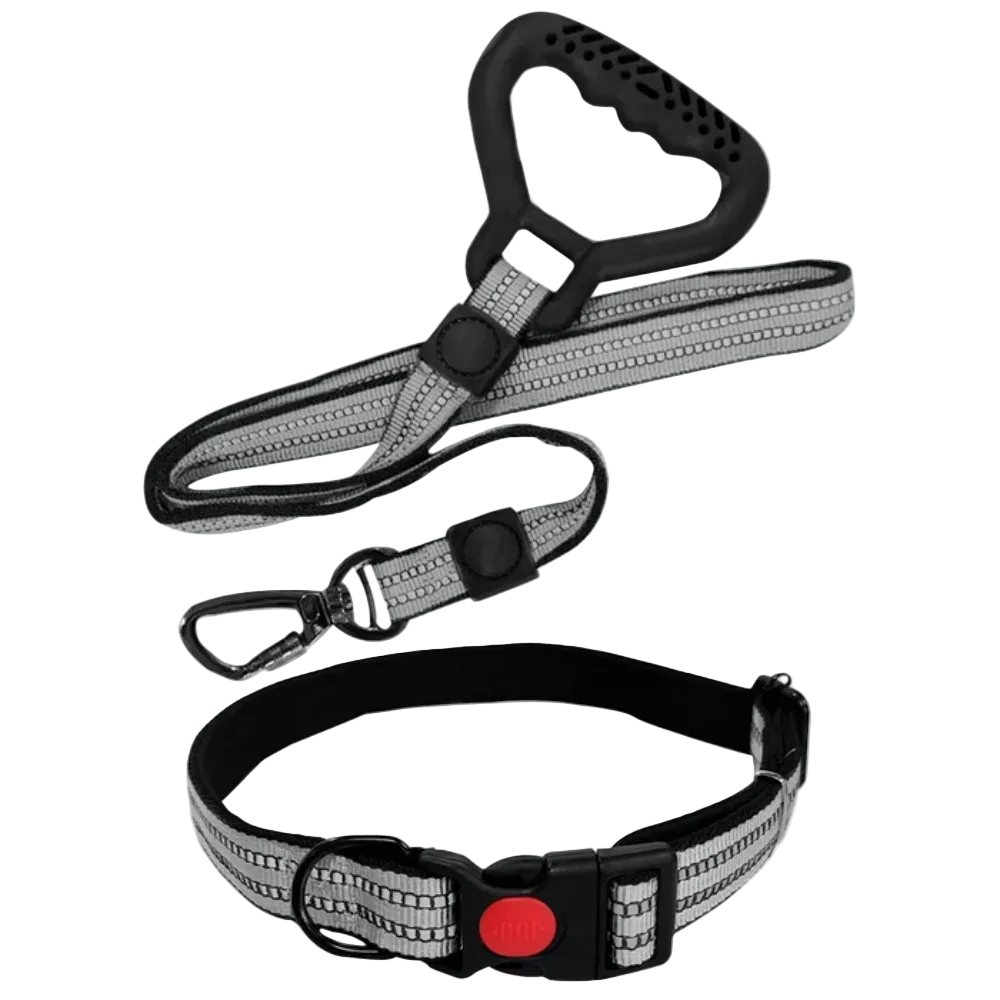 Bomei Pet Dog Leash & Collar