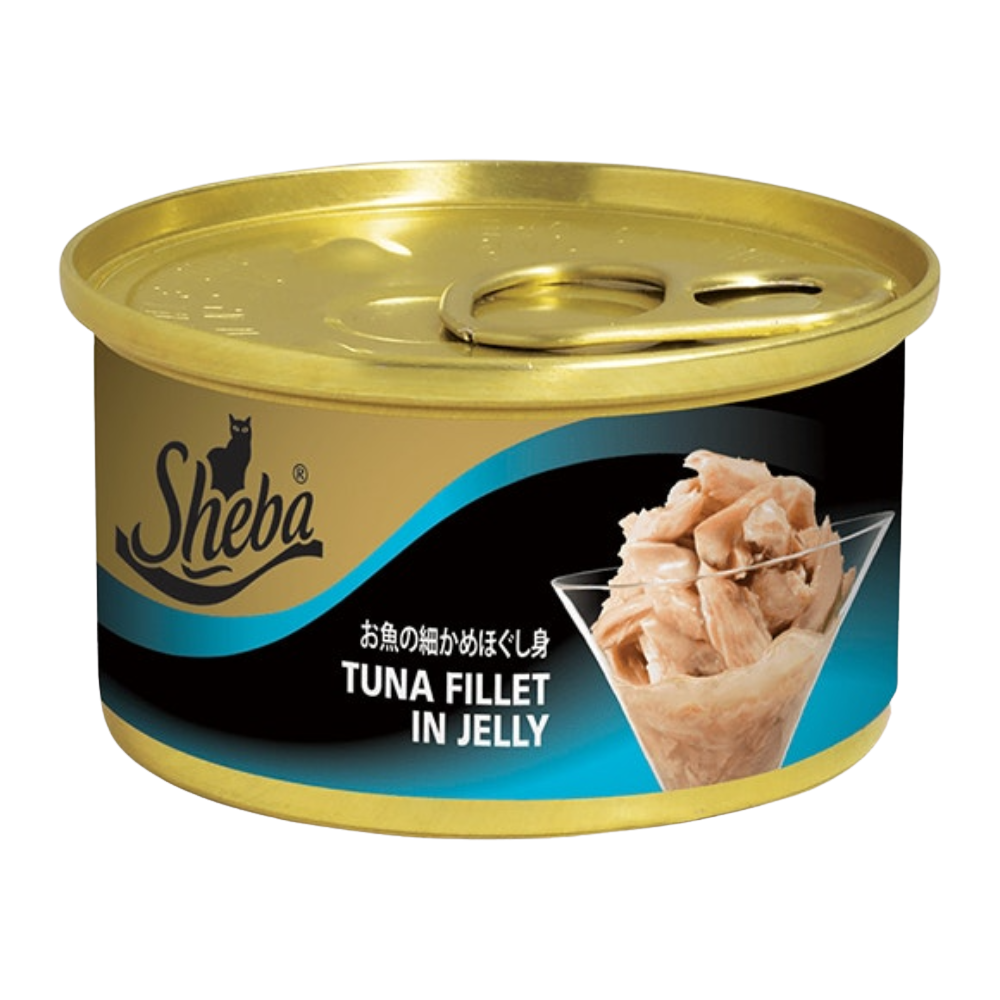 Can of Sheba tuna fillet in jelly on a white background