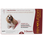 Revolution Topical Solution for Dogs, 20.1-40 lbs - 1 Pipette