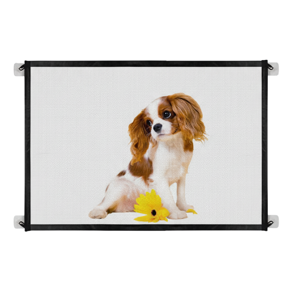Safe Portable Folding Magic Gate For Small Dogs 120*75 cm Petfast.shop Generic Dog Supplies petfast.shop Egypt mm-23 Default Title 200.00