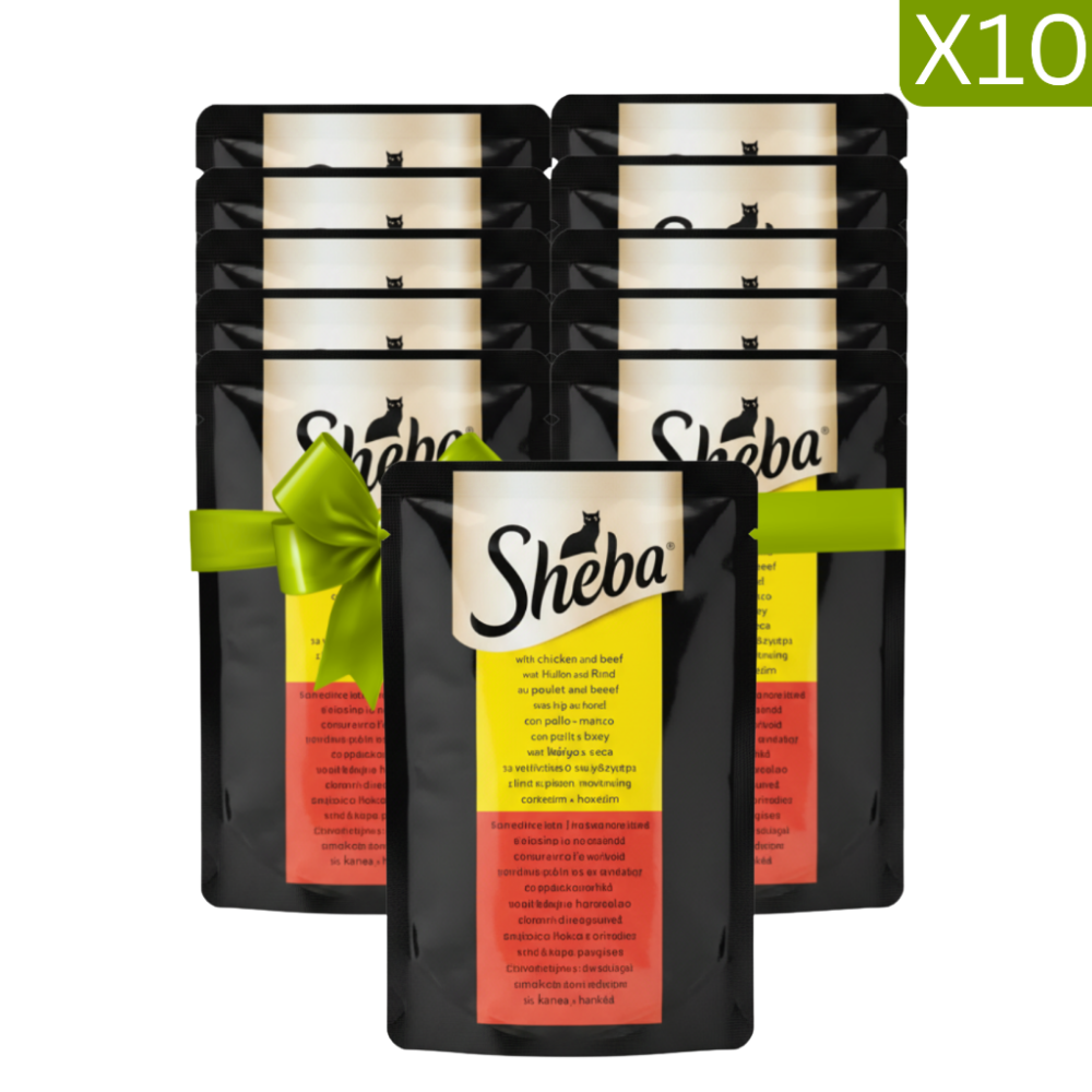 Buy 9 + 1 Free Sheba Wet Food For Cat with Chicken And Beef 85g Petfast.shop Sheba Bundles Cat Exclude Food Wet Food petfast.shop Egypt PBU5230S Default Title 999.00