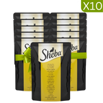 Buy 9 + 1 Free Sheba Wet Food for Cat with Poultry 85g Petfast.shop Sheba Bundles Cat Exclude Food Wet Food petfast.shop Egypt PBU5228S Default Title 999.00