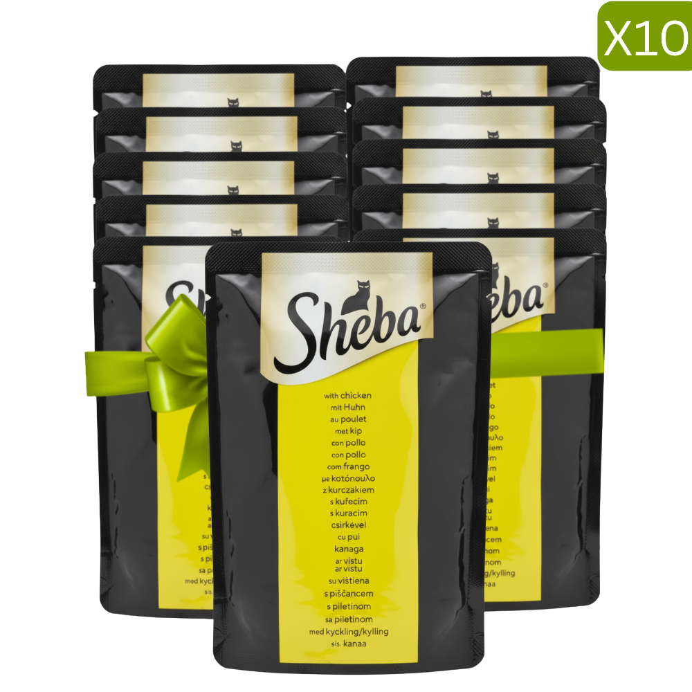 Buy 9 + 1 Free Sheba Wet Food for Cat with Chicken 85g Petfast.shop Sheba Bundles Cat Exclude Food Wet Food petfast.shop Egypt PBU5224S Default Title 999.00