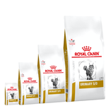 Royal Canin Veterinary Diet cat food packages on a white background