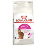 Royal Canin cat food package on a white background