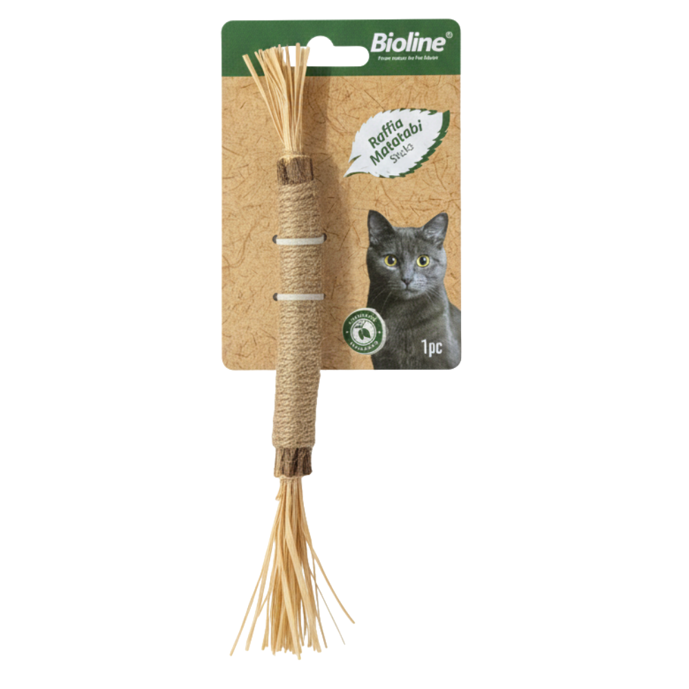 Bioline Raffia Matatabi Sticks 22Cm