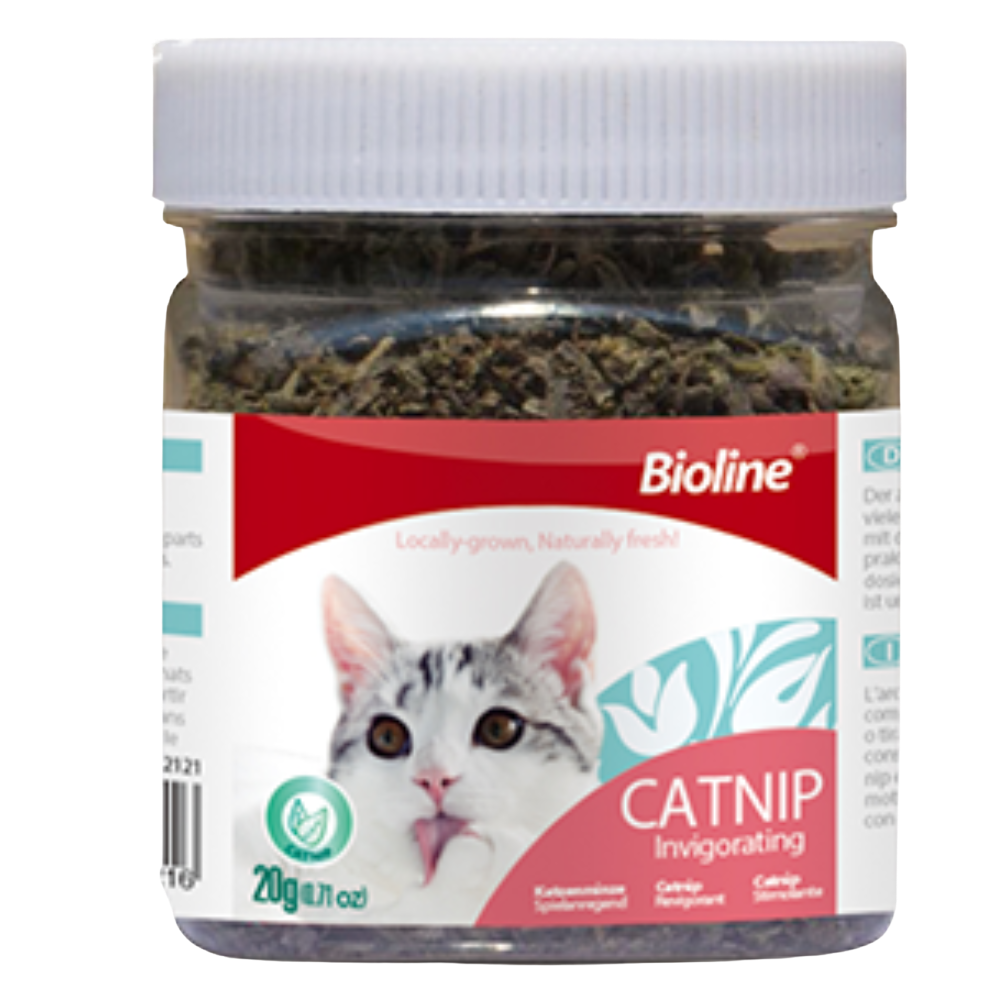 Bioline CatNip 20g (0.7Oz) Petfast.shop Bioline Cat Catnip Treats petfast.shop Egypt 270.00