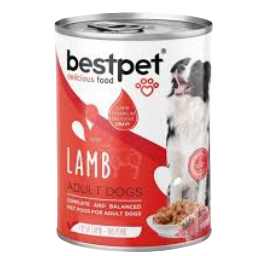 Best Pet Adult Dog Lamb 400g Petfast.shop Bestpet Dog Food Wet Food petfast.shop Egypt PBE2454S75.00
