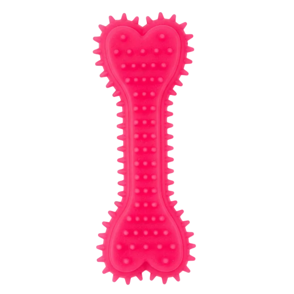 Cool Cat Large Bone Dog Toy