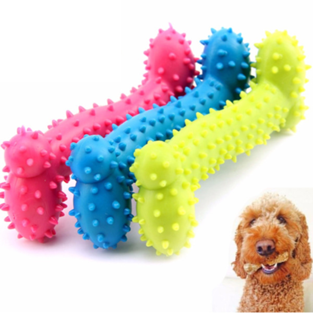 Cool Cat Bone Dog Toy