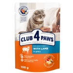 Club 4 Paws Pouch with Lamb in Jelly for Adult Cats 100 gr Petfast.shop Club 4 Paws Cat Food Wet Food petfast.shop Egypt PCL0150S Default Title 50.00