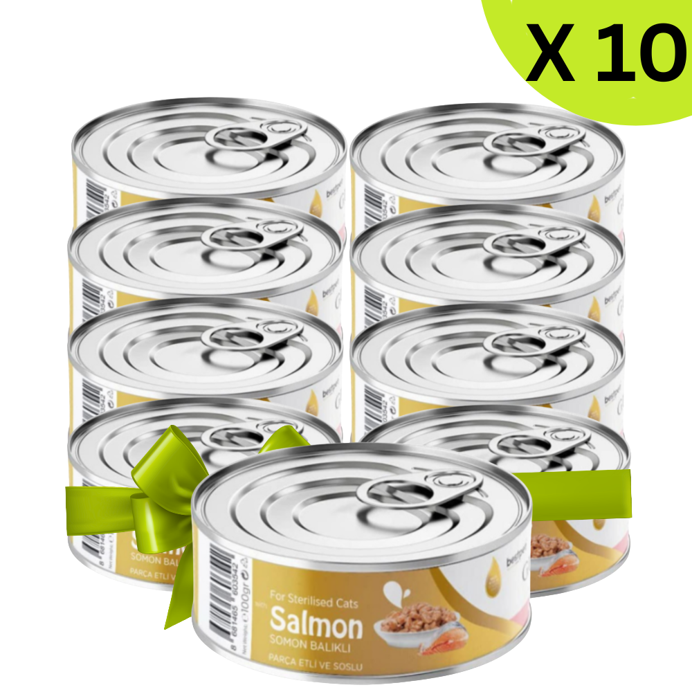 BUY 9 + 1 FREE Best Pet Gurme Adult Cat With Salmon Sterilised 100g Petfast.shop Bestpet Bundles Cat Egypt Brand Exclude Food we Wet Food petfast.shop Egypt 405.00