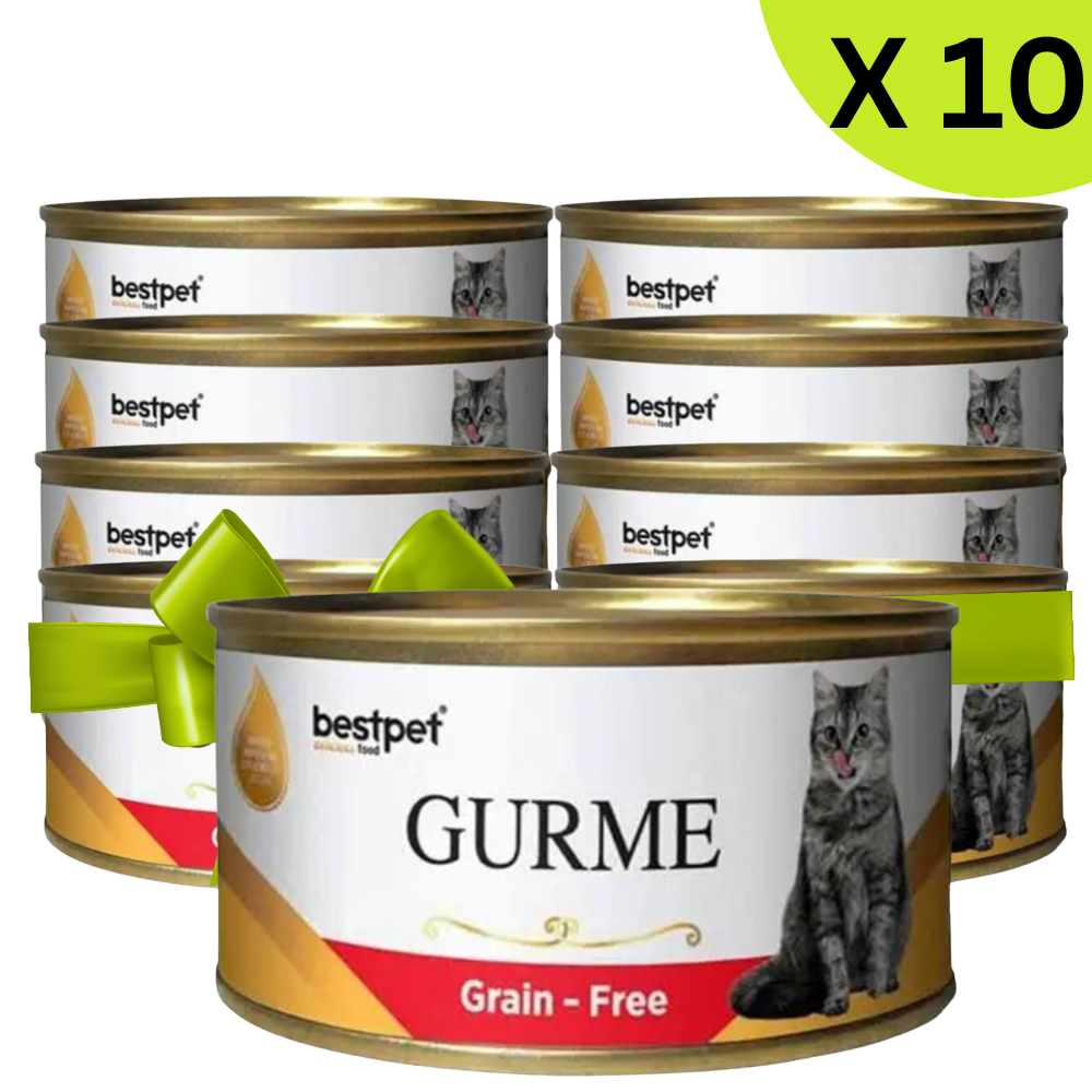 BUY 9 + 1 FREE Best Pet Gurme Adult Cat With Beef 100g Petfast.shop Bestpet Bundles Cat Egypt Brand Exclude Food Wet Food petfast.shop Egypt 405.00