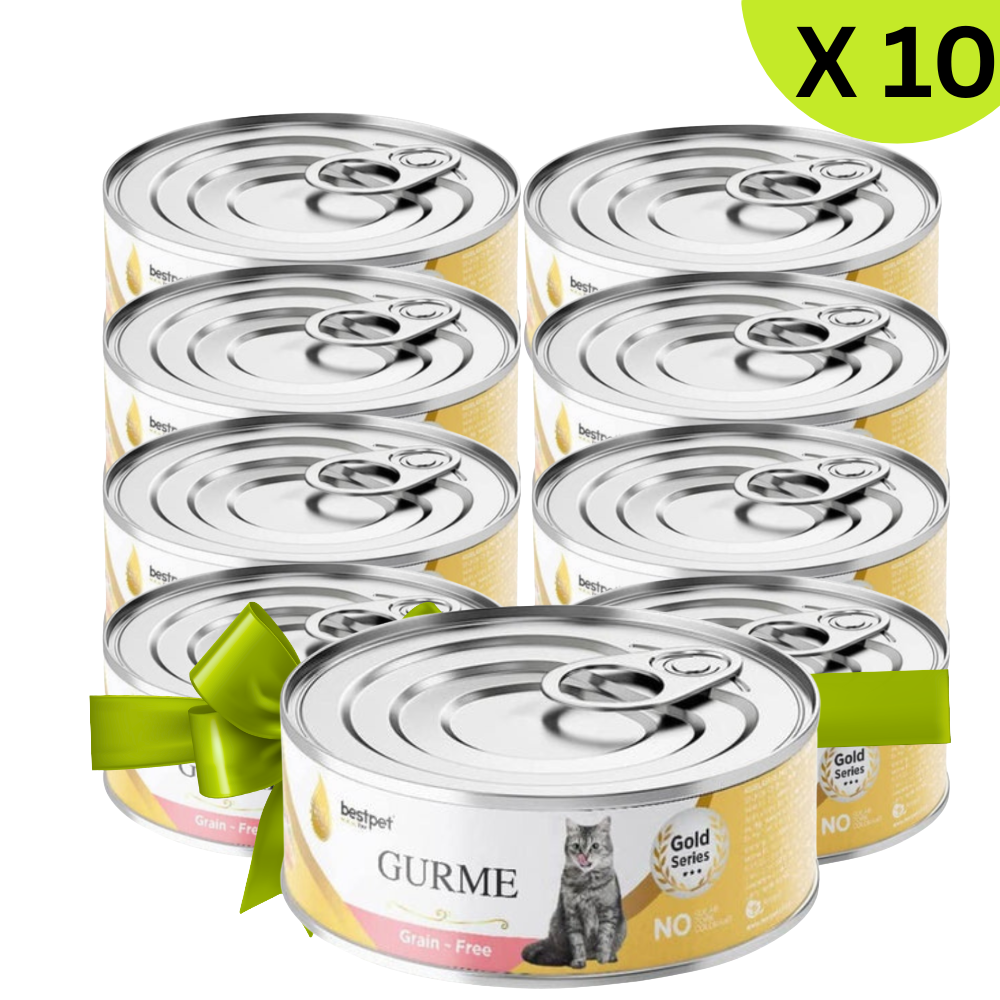 BUY 9 + 1 FREE Best Pet Gurme Adult Cat With Salmon 100g Petfast.shop Bestpet Bundles Cat Egypt Brand Exclude Food Wet Food petfast.shop Egypt 405.00