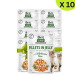 BUY 9 + 1FREE Brit Care Wet Food For Adult Cat Fillets In Jelly With Wholesome Tuna 85 G Petfast.shop Brit Bundles Cat Exclude Food Wet Food petfast.shop Egypt 630.00
