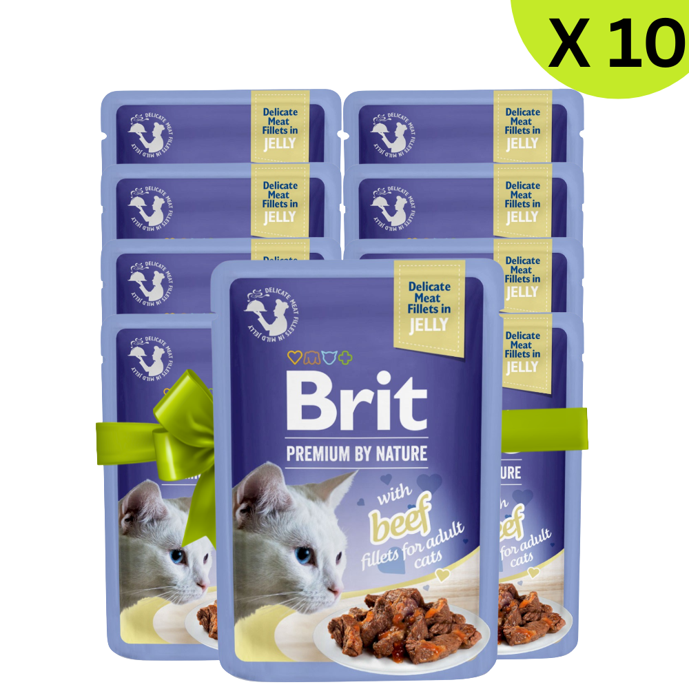 BUY 9 + 1 FREE Brit Wet Food For Adult Cat Fillets In Jelly With Beef 85 G Petfast.shop Brit Bundles Cat Exclude Food Wet Food petfast.shop Egypt 450.00