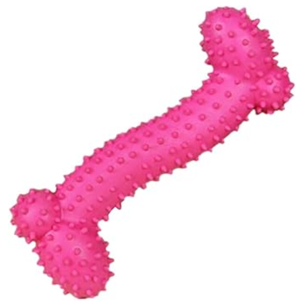 Cool Cat Bone Dog Toy