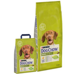 Two green bags of Purina Dog Chow with a dog's face on the label against a white background.