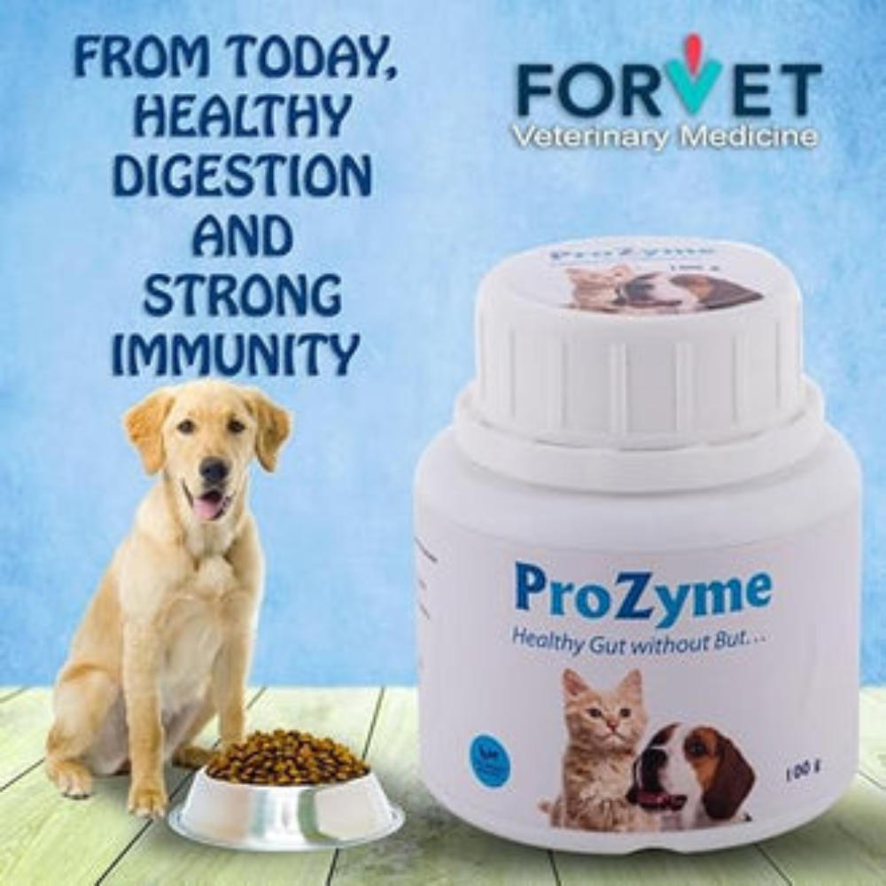ProZyme supplement bottle with a dog and cat illustration, and text about healthy digestion and immunity on a blue background.