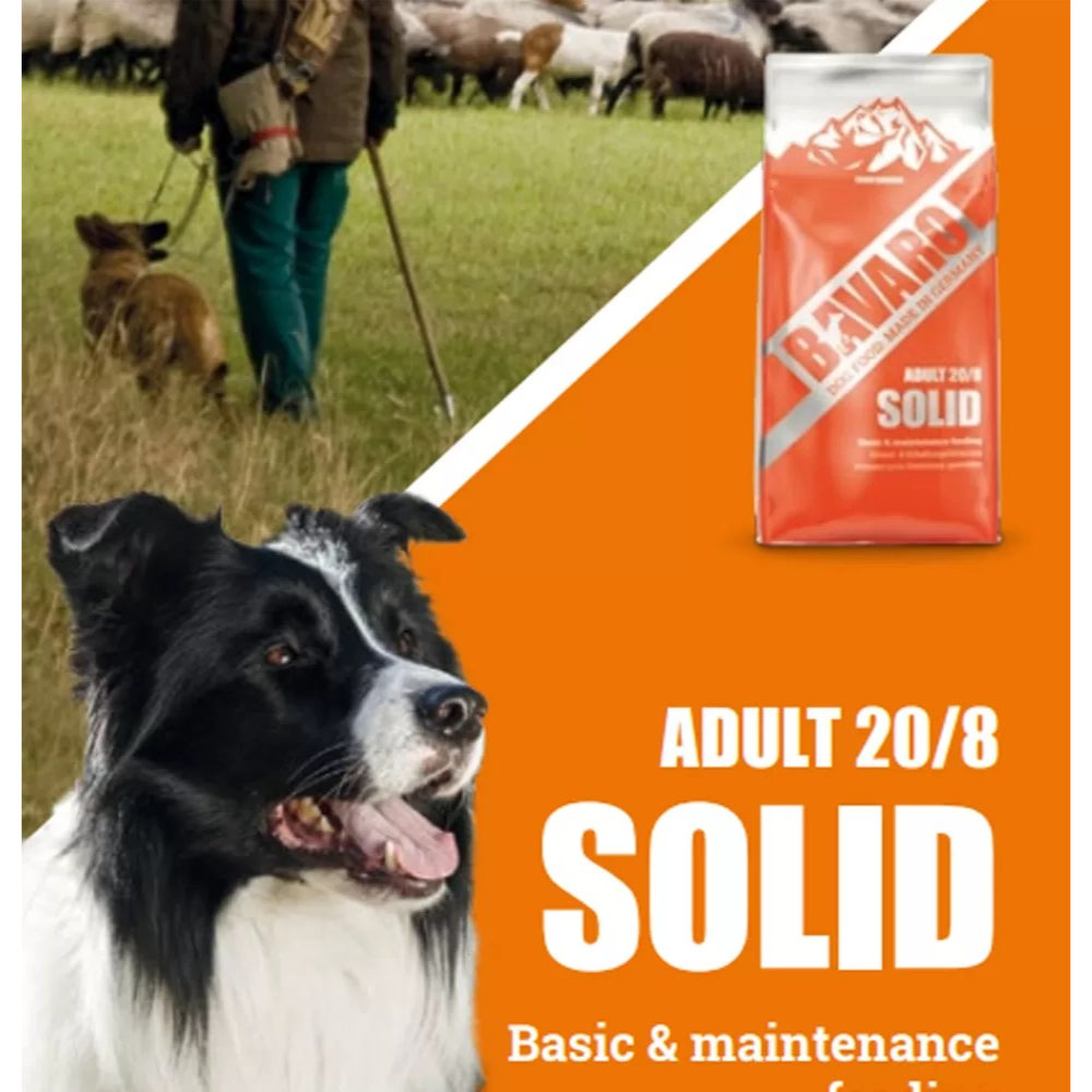 Dog with a bag of Bovado dog food in a field