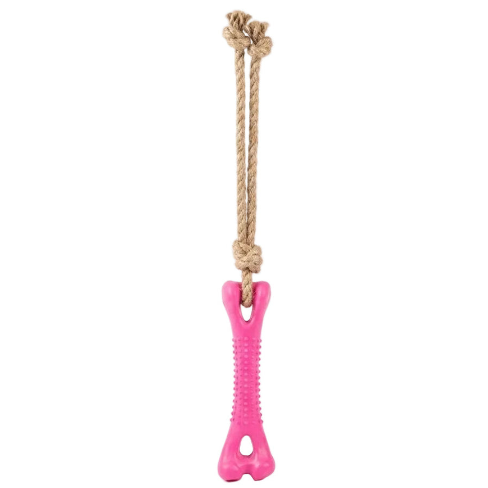 Buddy pet Natural Rope & Rubber Bone Tug Toy for Dogs
