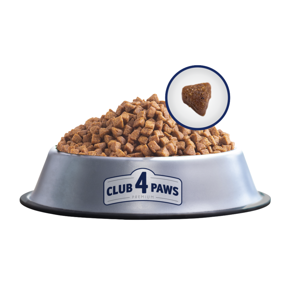 Club 4 Paws Dry Food For Adult Cat Premium Hairball Control With Chicken 300 G