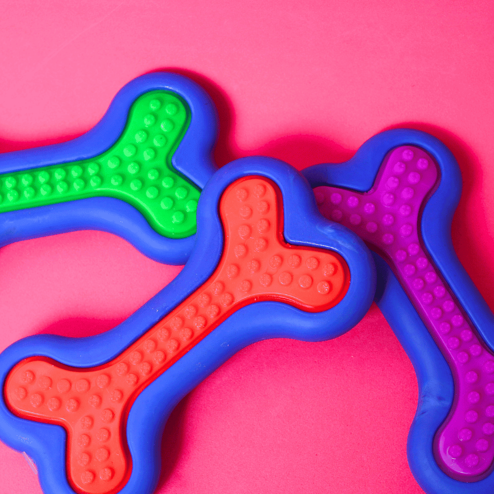 Pet Toy Bone for Small Dogs