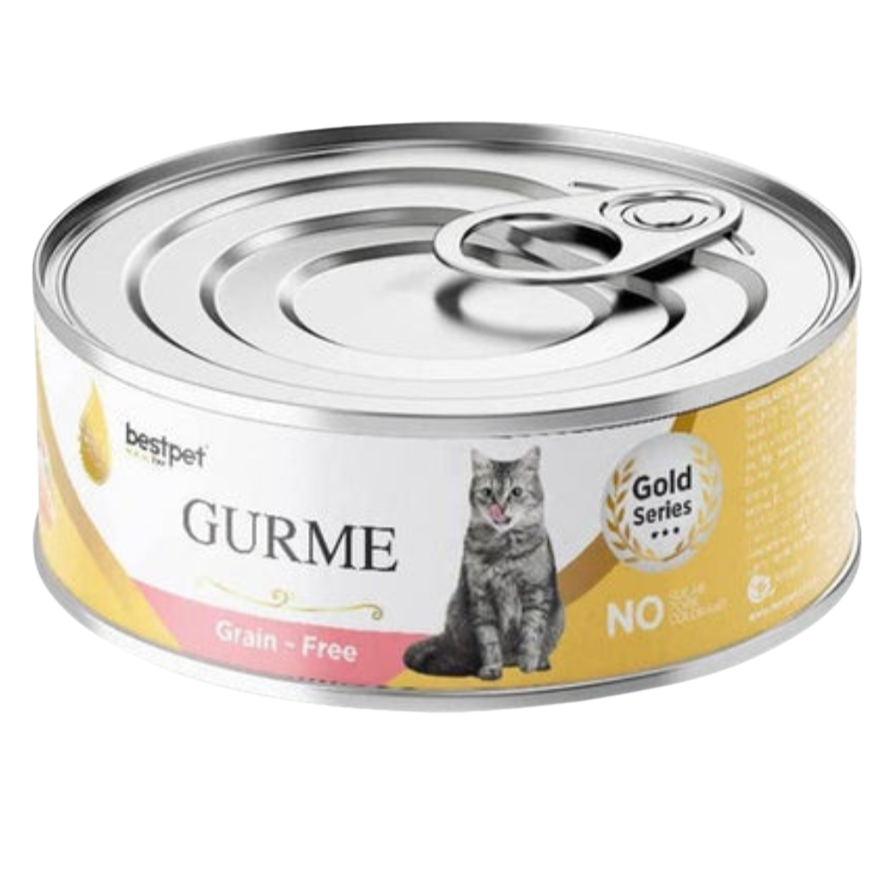 BUY 9 + 1 FREE Best Pet Gurme Adult Cat With Salmon 100g