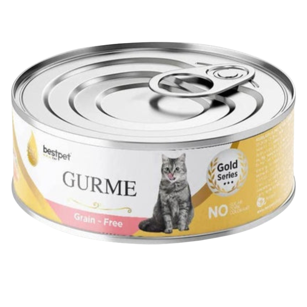 Best Pet Gurme Adult Cat With Salmon 100g Petfast.shop Bestpet Cat Food Wet Food petfast.shop Egypt PBE2451S45.00